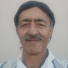 astrologer
